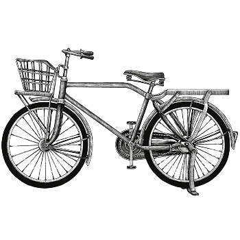VELO